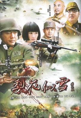 梨花似雪 第25集