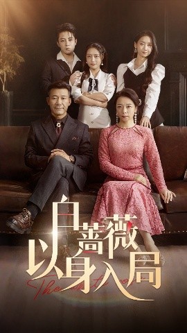 白蔷薇以身入局(全集)