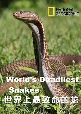 世界上最致命的蛇(全集)